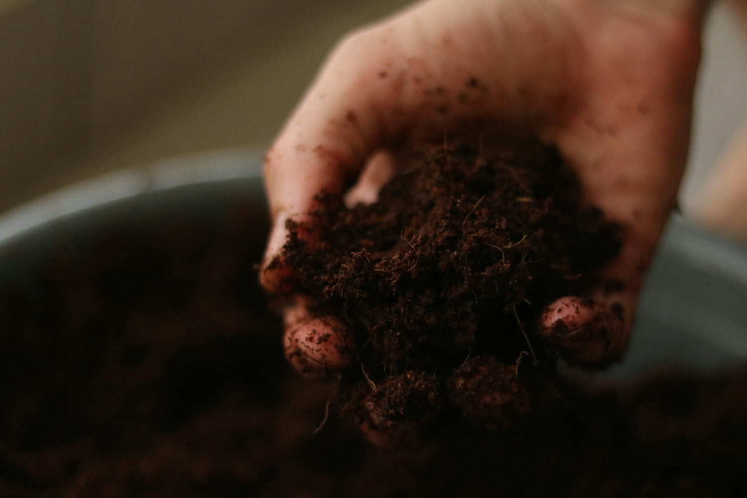 Waste Management: A Guide to Implementing a 'Worm Mod' Worm Farm Into Your Organisation