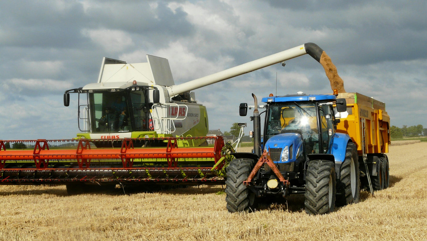 The Fertiliser 'Lock-up': Why More Isn’t Always Better