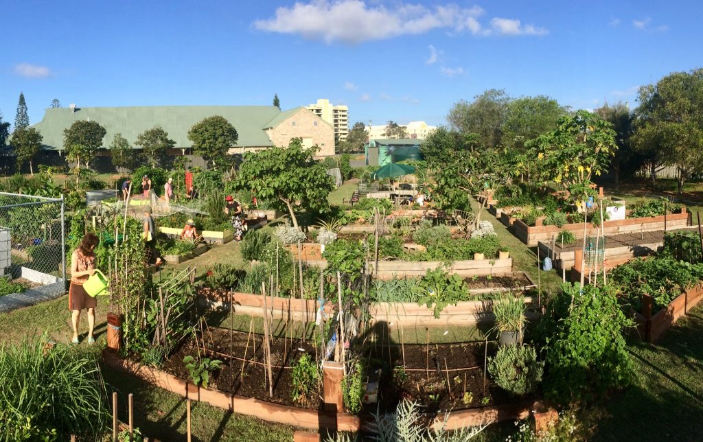 Southern_Beaches_Community_Gardens