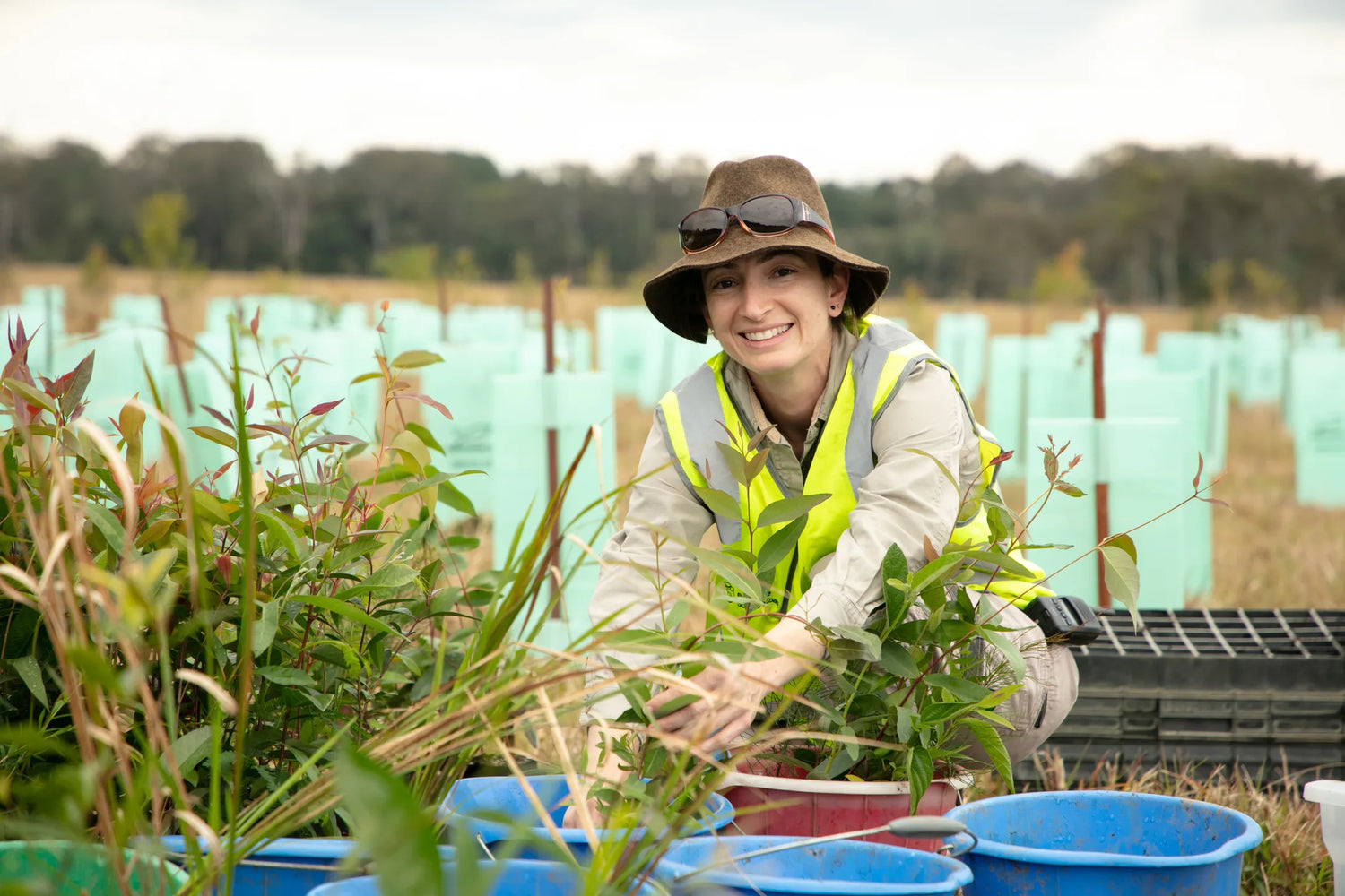 Sunshine_Coast_Council