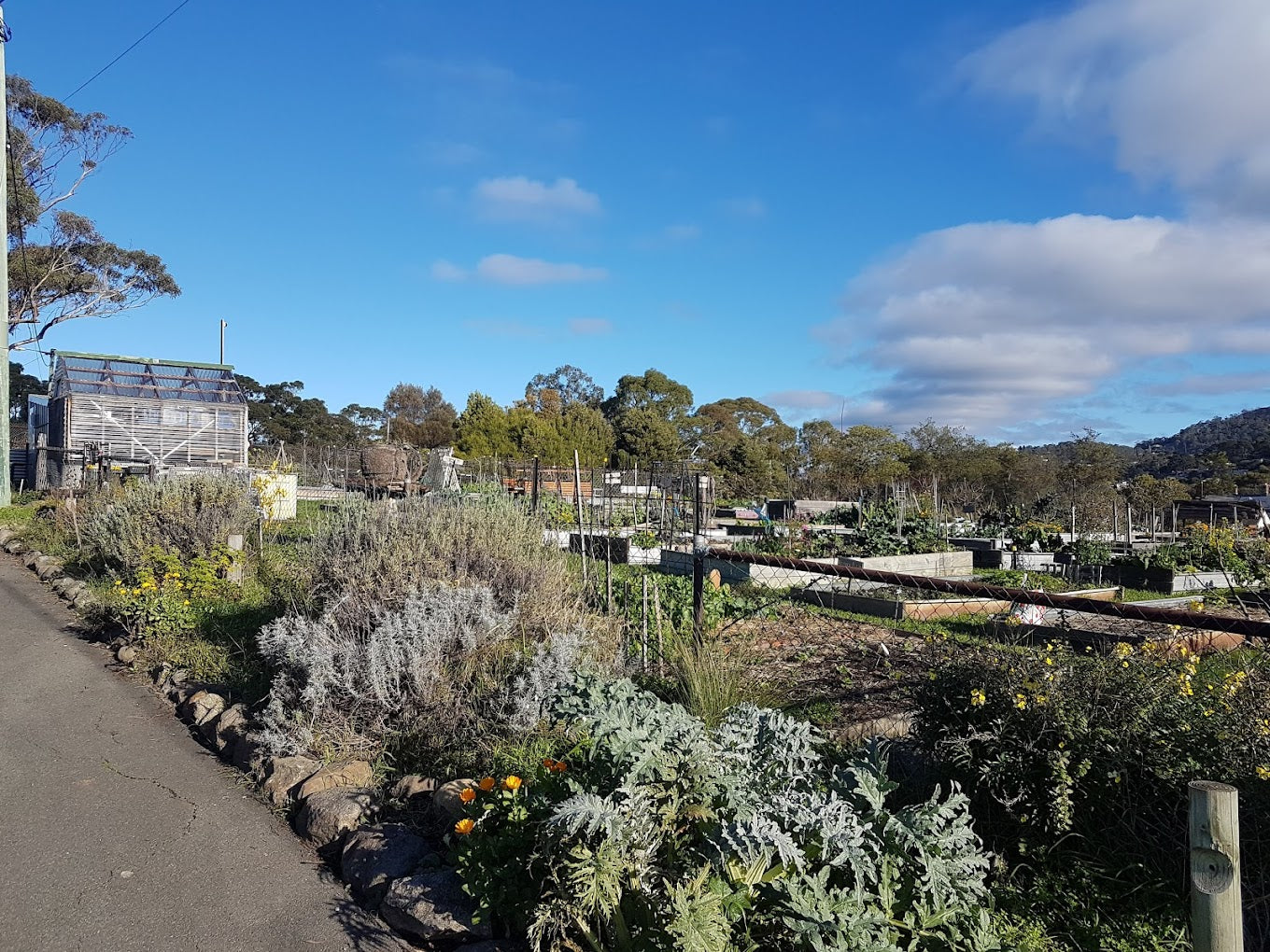 Taroona_Neighbourhood_Garden