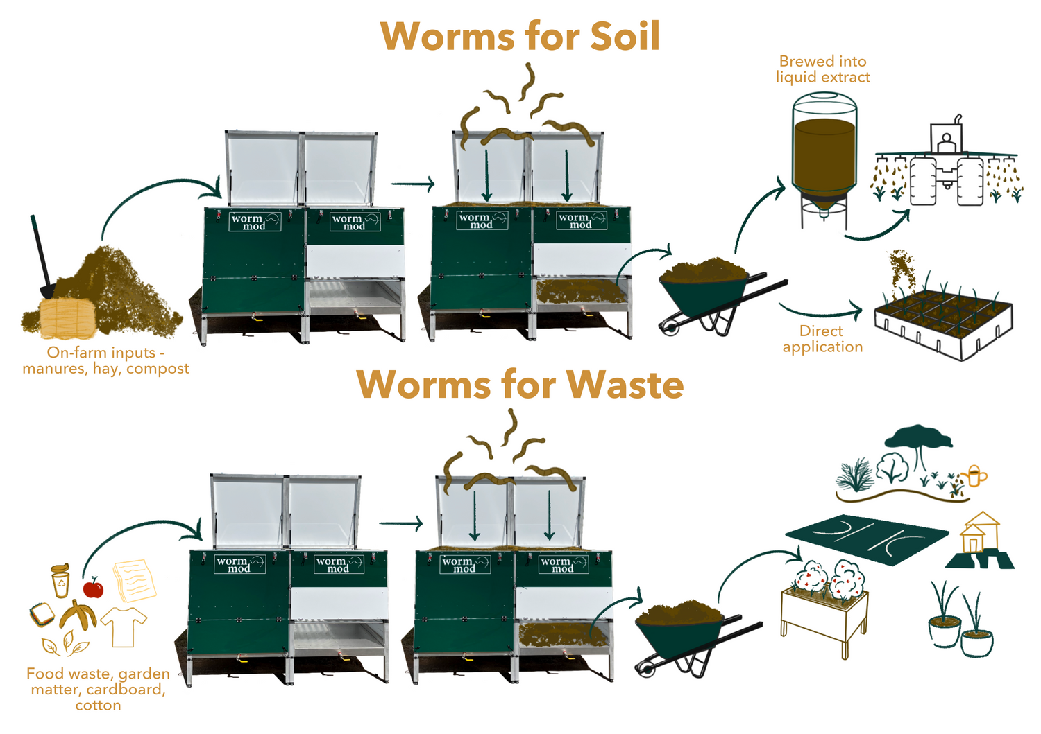 worms-for-waste-worms-for-soil-diagram