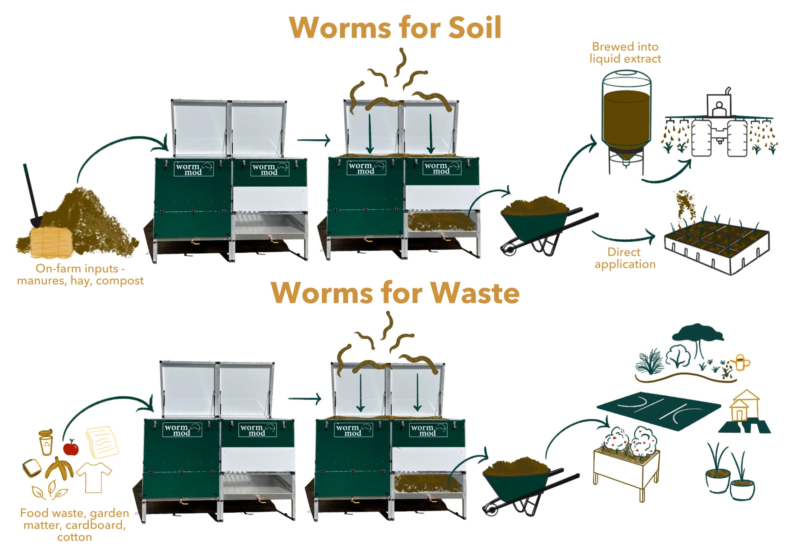 worms for waste and soil diagram