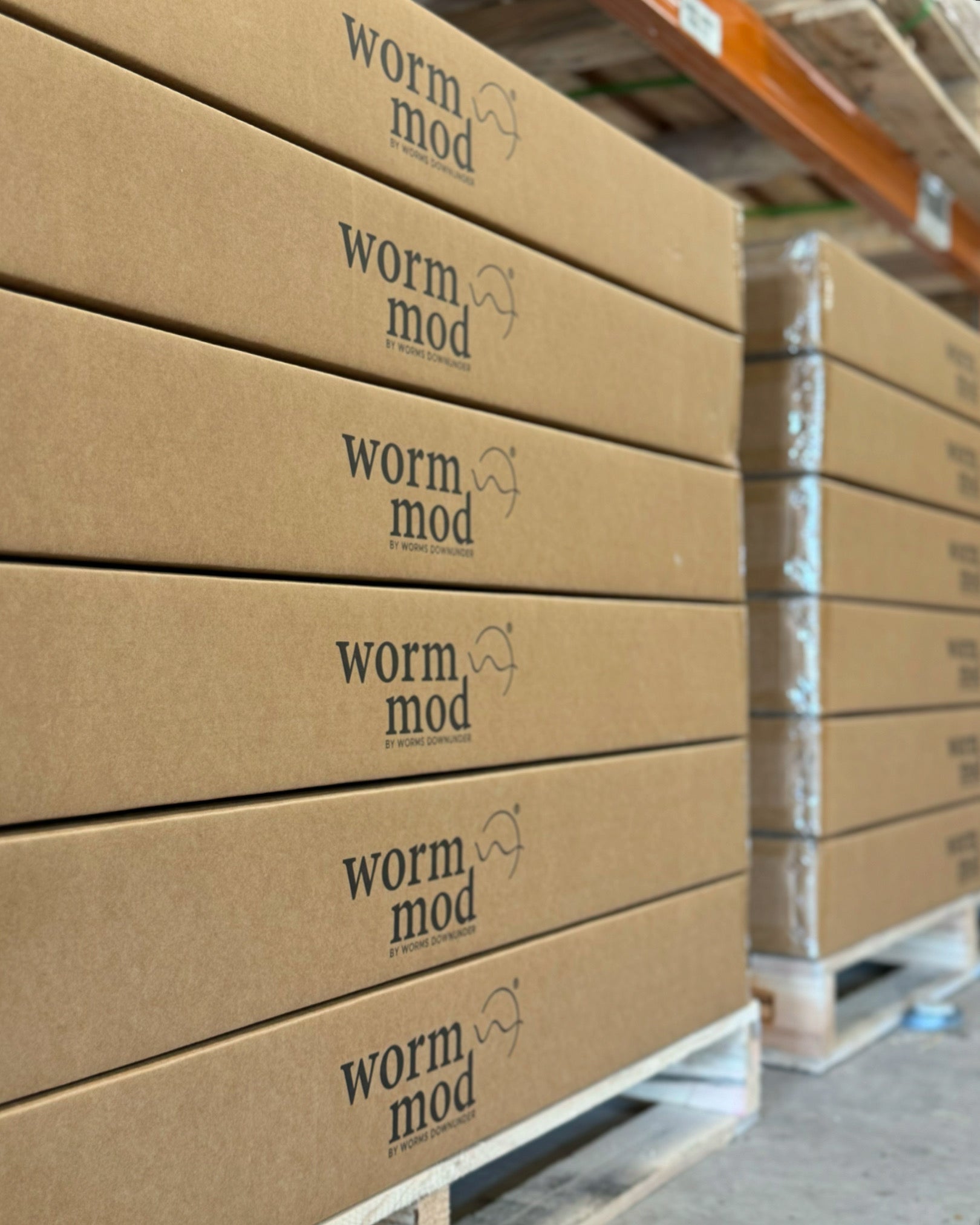 flatpack-worm-mods-boxed