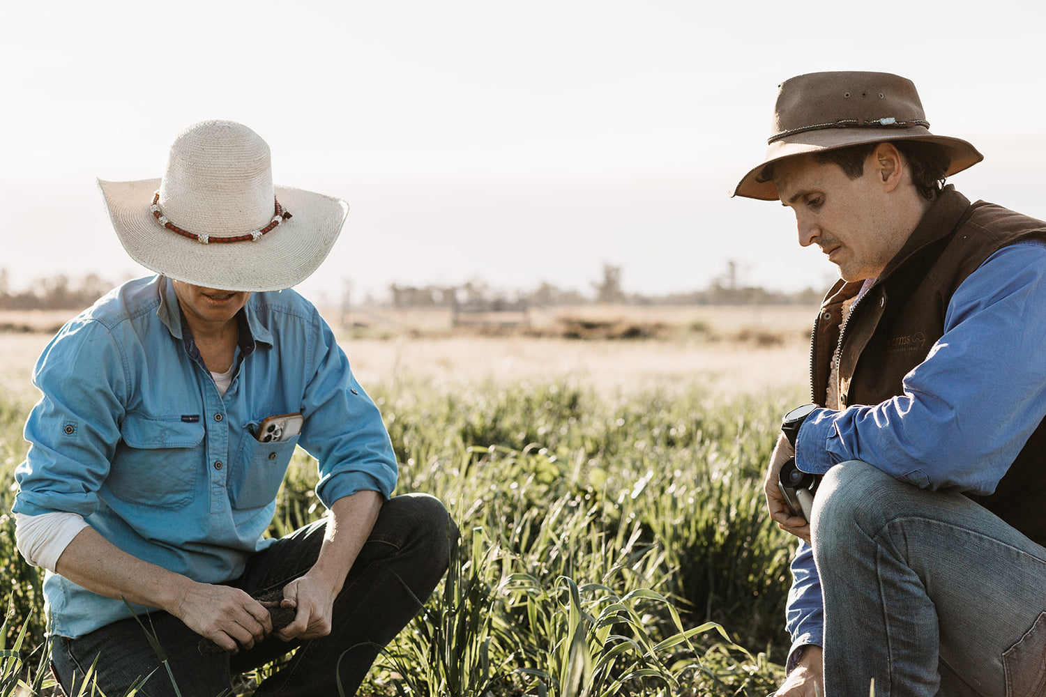 nutrient-rich soil amendments