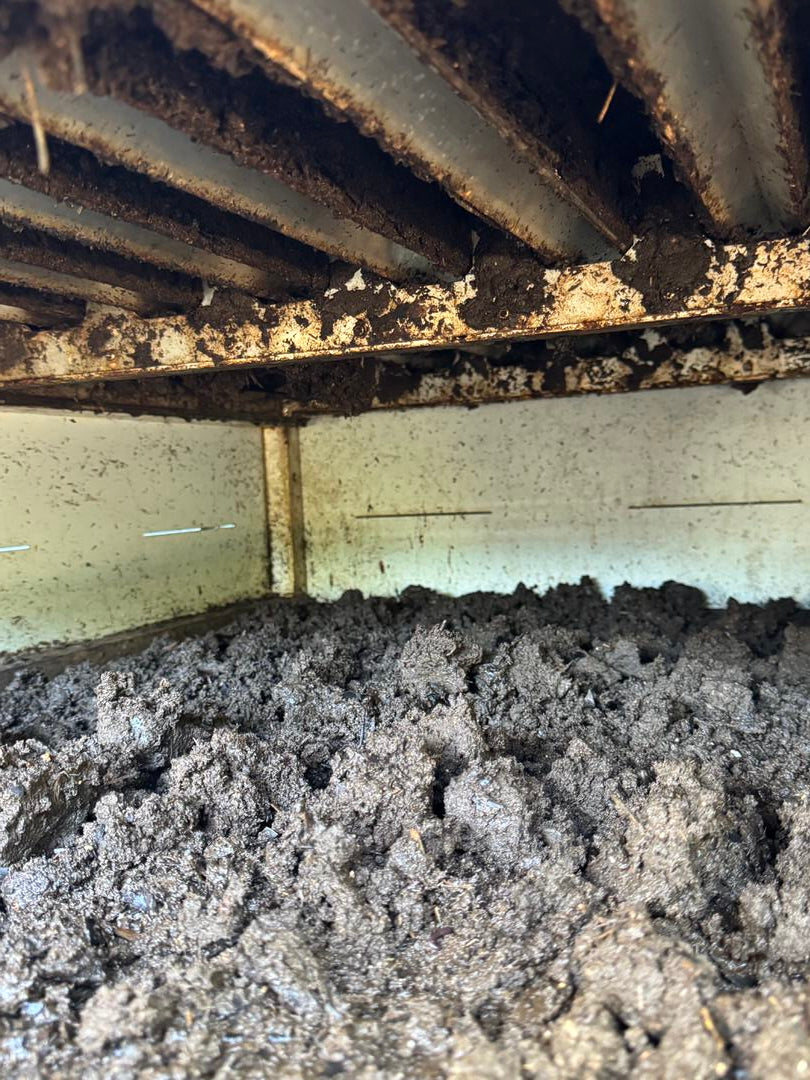 worm-farm-harvesting