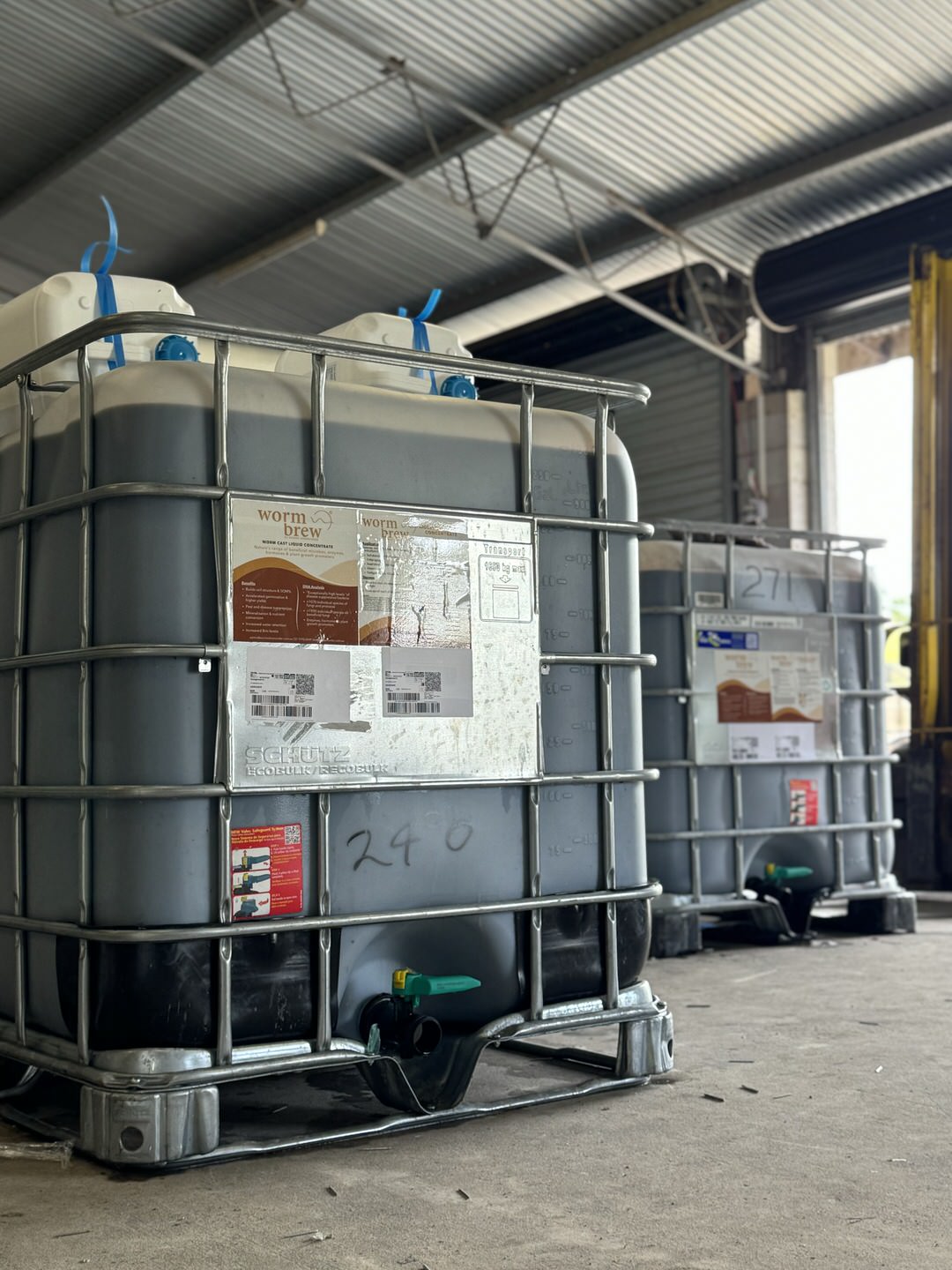Worm Brew® Microbial Testing: Boosting Disease Suppression