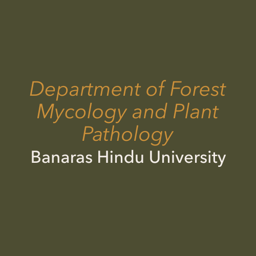 Vermicompost as modulator of plant growth and disease suppression