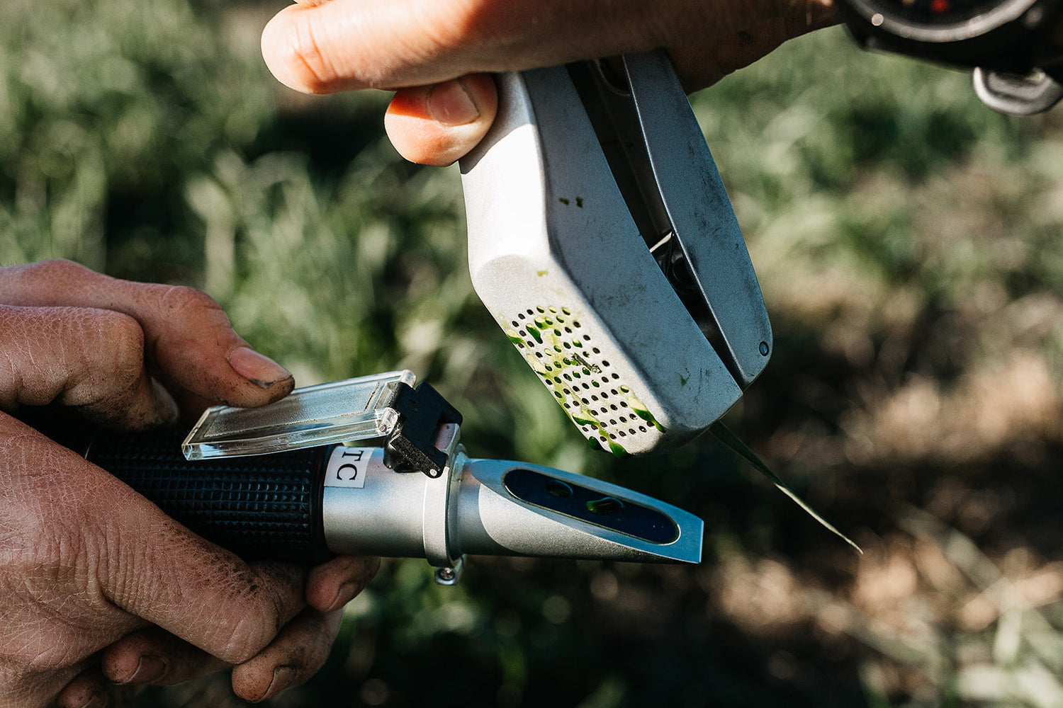 Clearing the Confusion: Nutrient Values in Worm Castings vs. Worm Juice Extracts