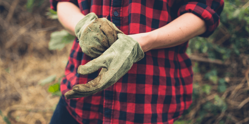 Worm tips: Aerating the bedding