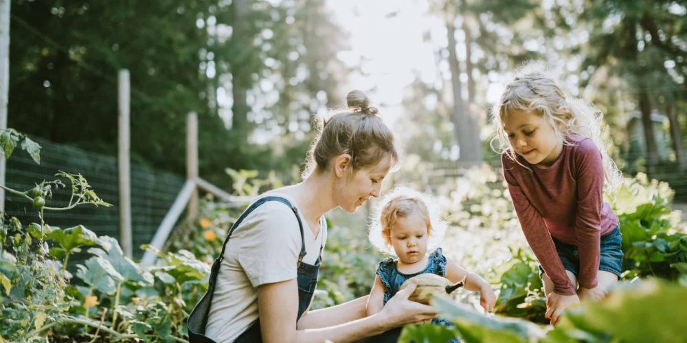 Organic vs conventional farming methods