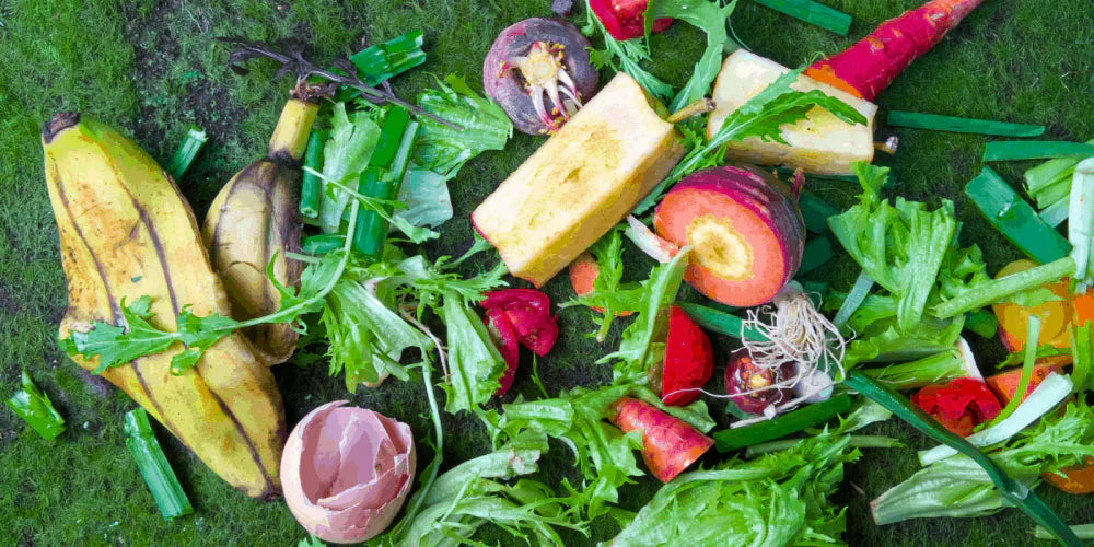worm food scraps