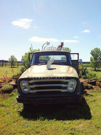 Anita_Kenafacke_Catnook_Boutique_Cattery