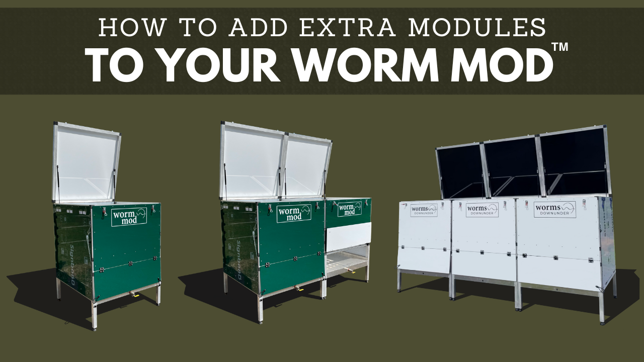 How to Add Extra Modules to your Worm Mod – Worms Downunder