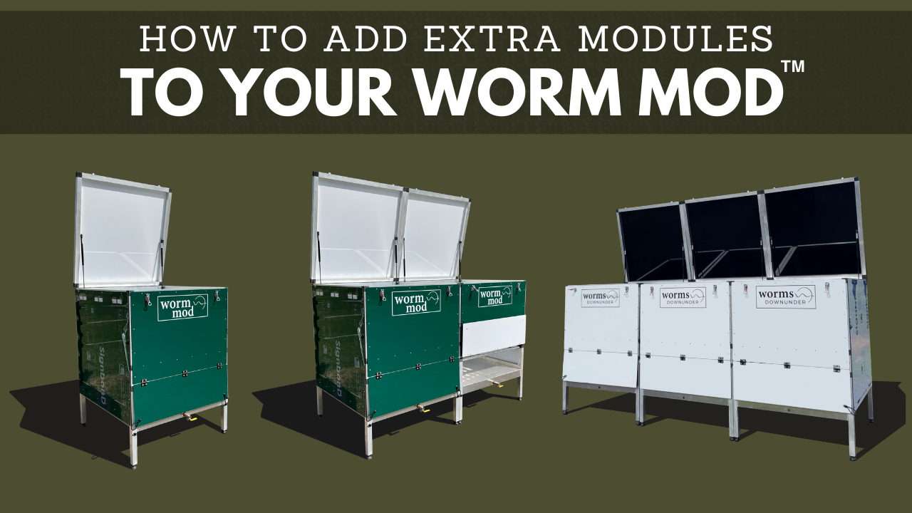 Load video: How to add extra modules to your Worm Mod