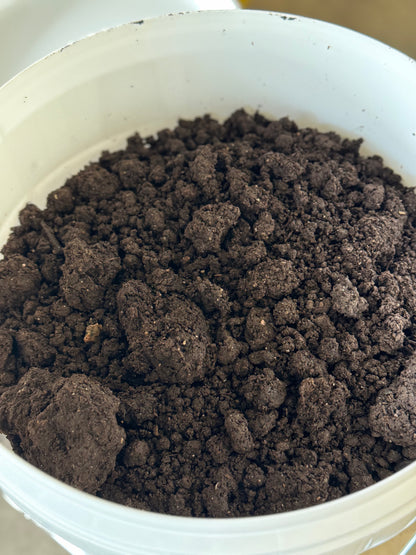 Bucket filled with worm castings on a neutral background