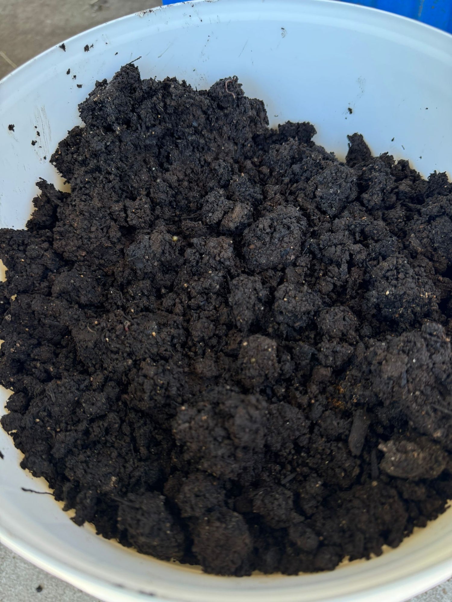 Fungal Fed Worm Castings