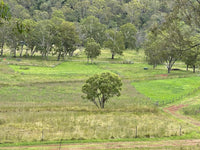 uncle-bobs-bakery-regenerative-farm-paddock