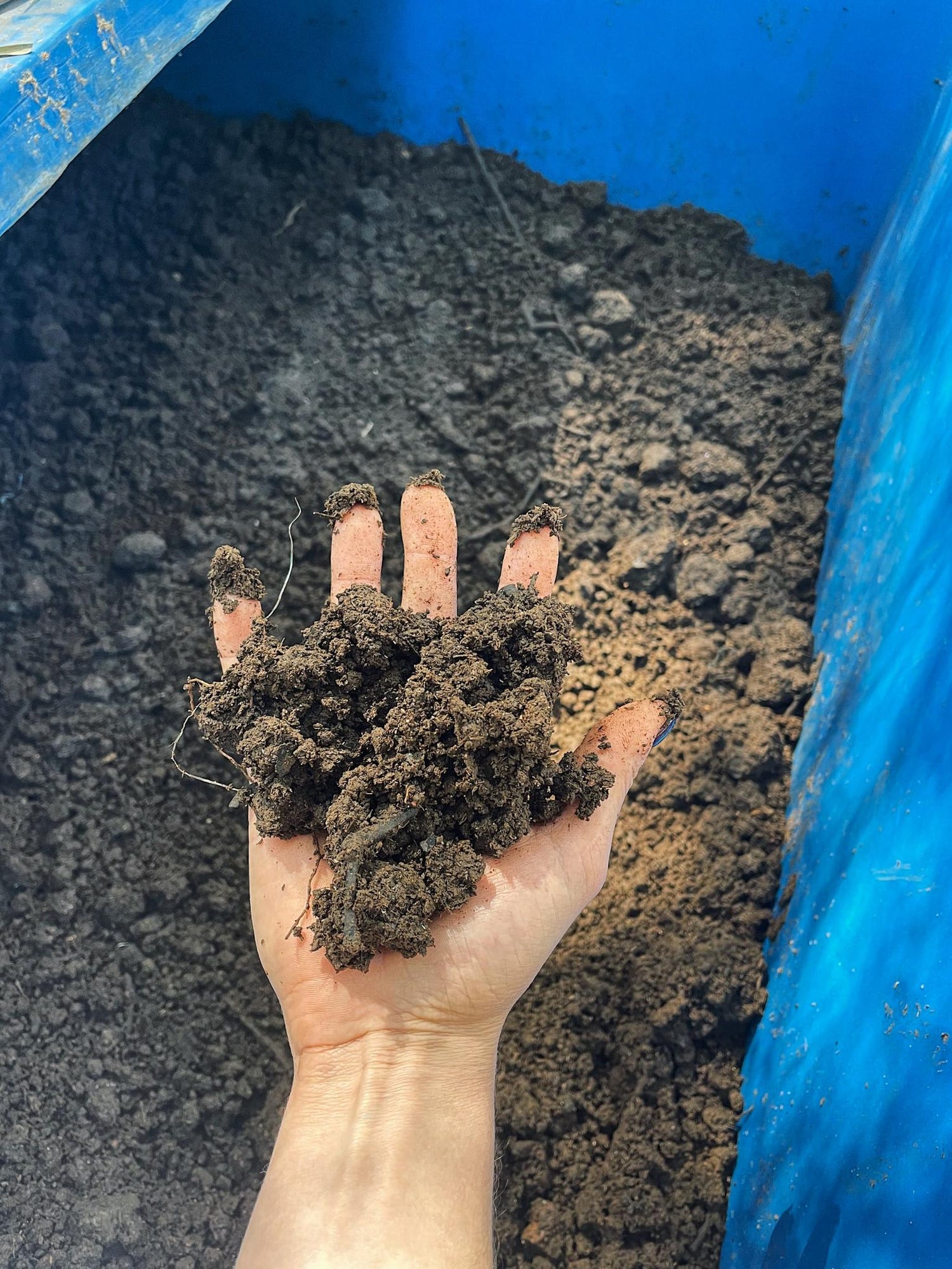 worm-farm-soil