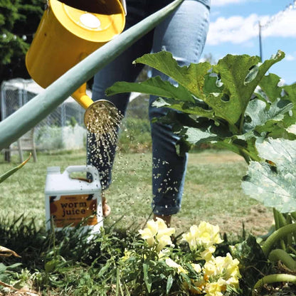 Worm Juice Applying To Garden2